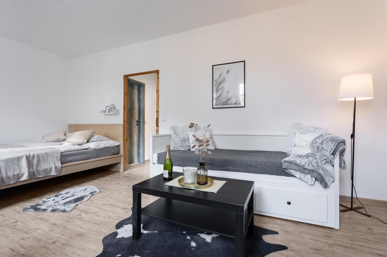 Apartmany Vlevo&Dole Rokytnice nad Jizerou Exterior photo